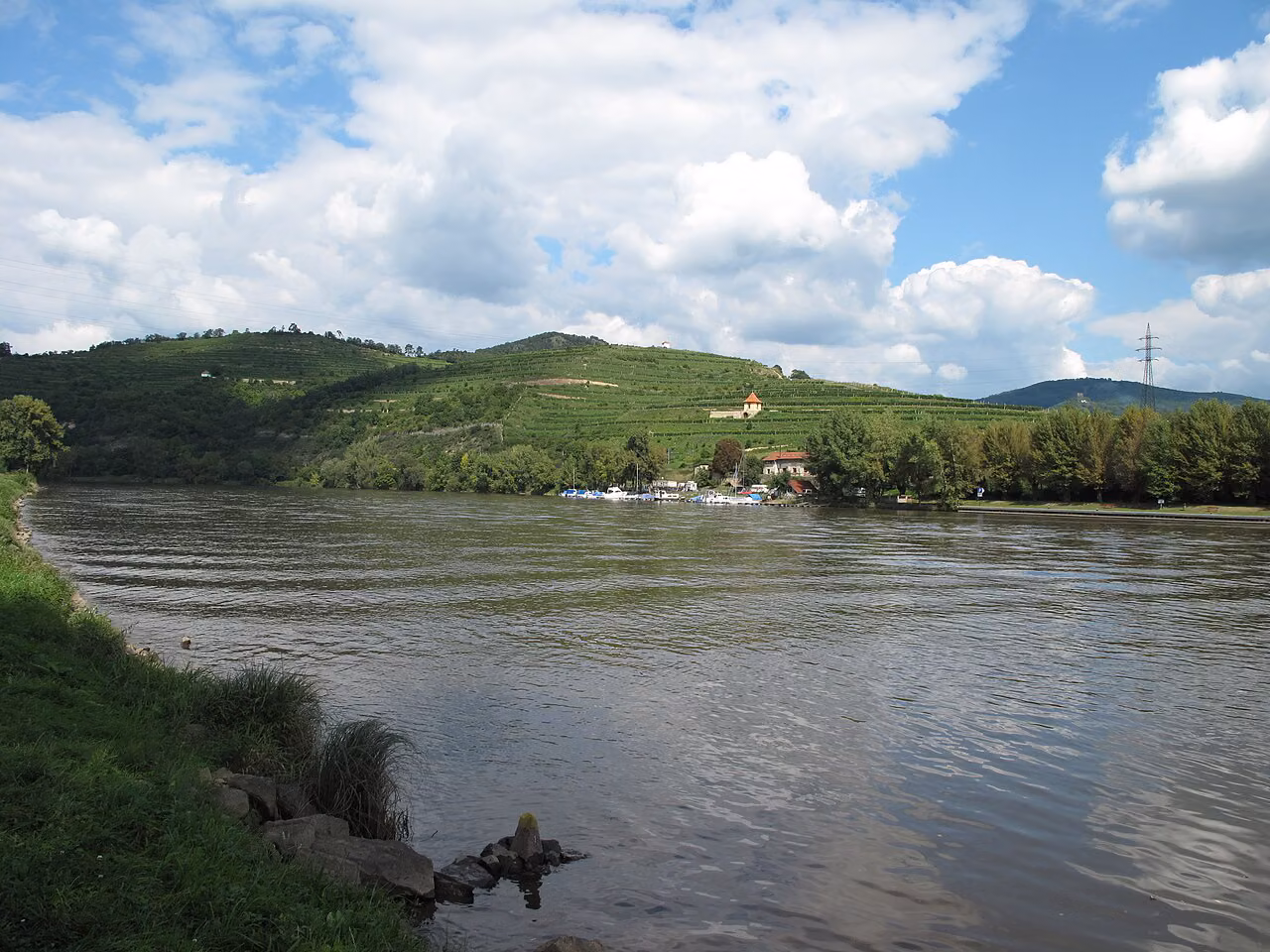 Žernosecké vinice nad Labem